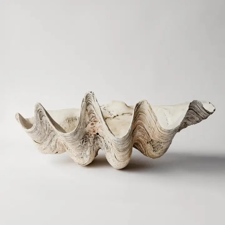 Indian Ocean Tridacna Shell Plaster Cast