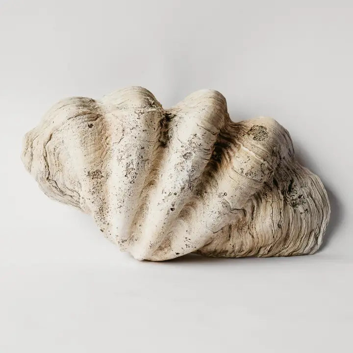 Indian Ocean Tridacna Shell Plaster Cast