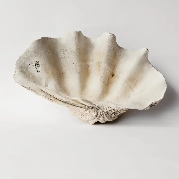 Indian Ocean Tridacna Shell Plaster Cast