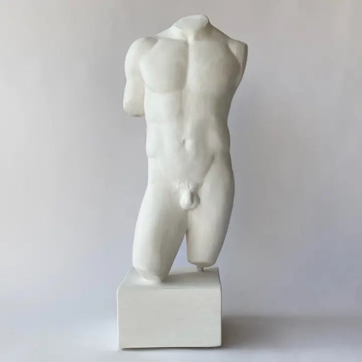 Male Torso