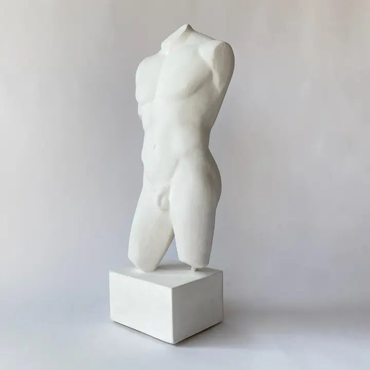 Male Torso