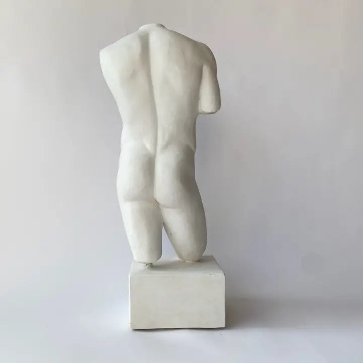 Male Torso