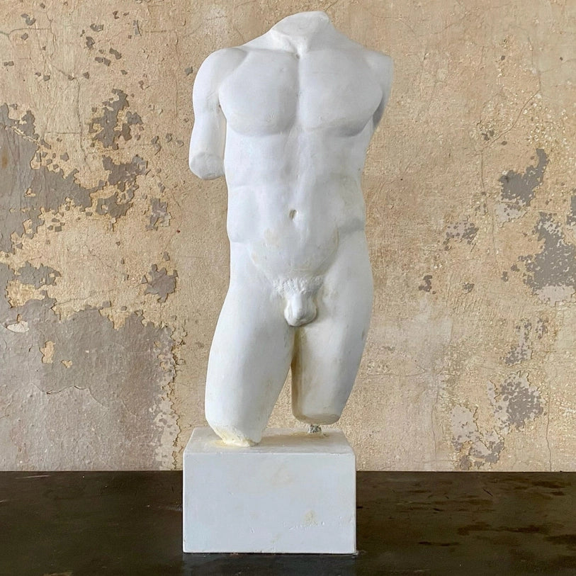 Male Torso