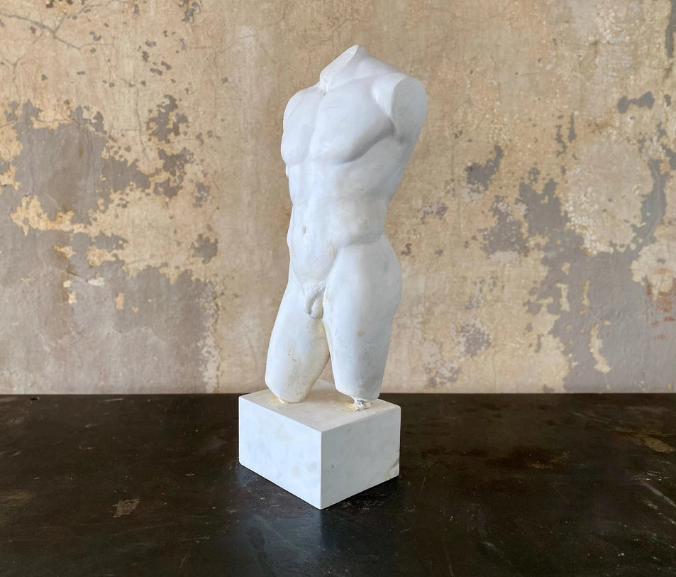 Male Torso