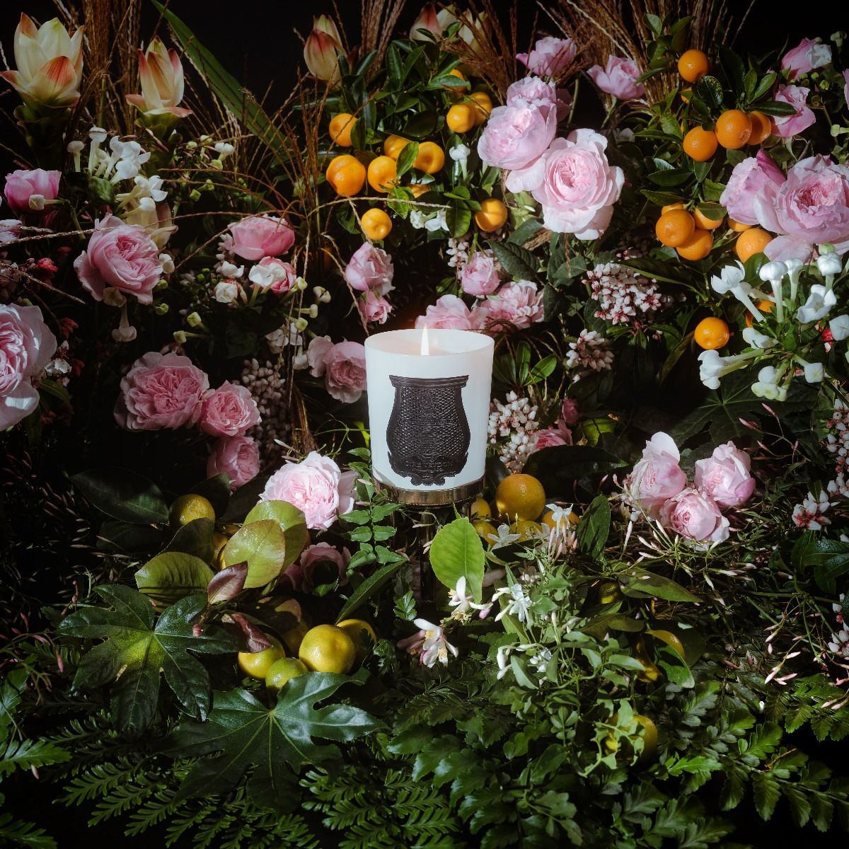 Rose Poivrée