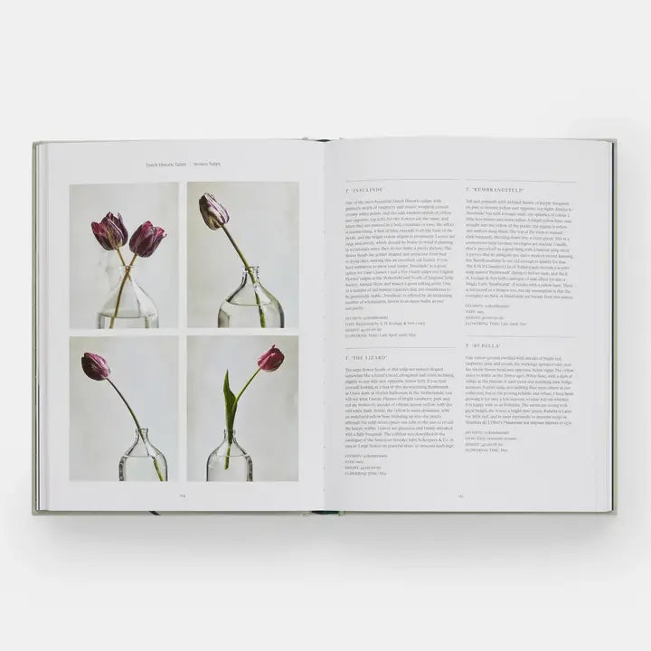 Tulip Garden: Growing and Collecting Rare Species