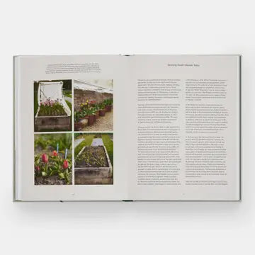 Tulip Garden: Growing and Collecting Rare Species