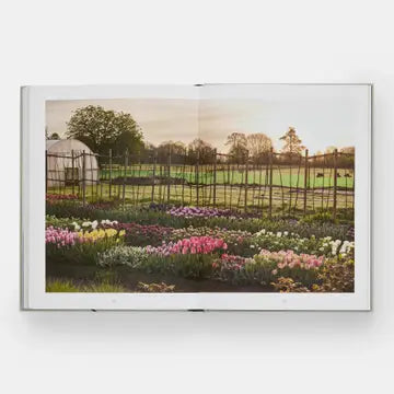 Tulip Garden: Growing and Collecting Rare Species