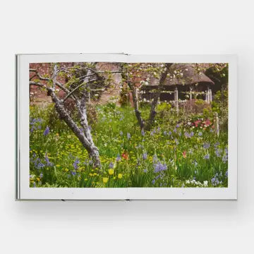 Tulip Garden: Growing and Collecting Rare Species