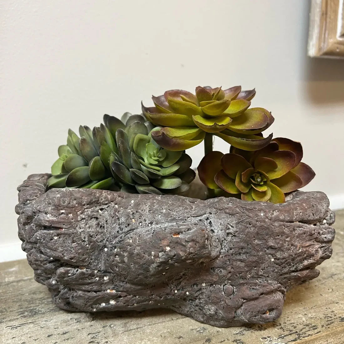 Mothology Cement Burled Bark Planter