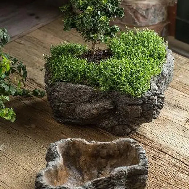 Mothology Cement Burled Bark Planter