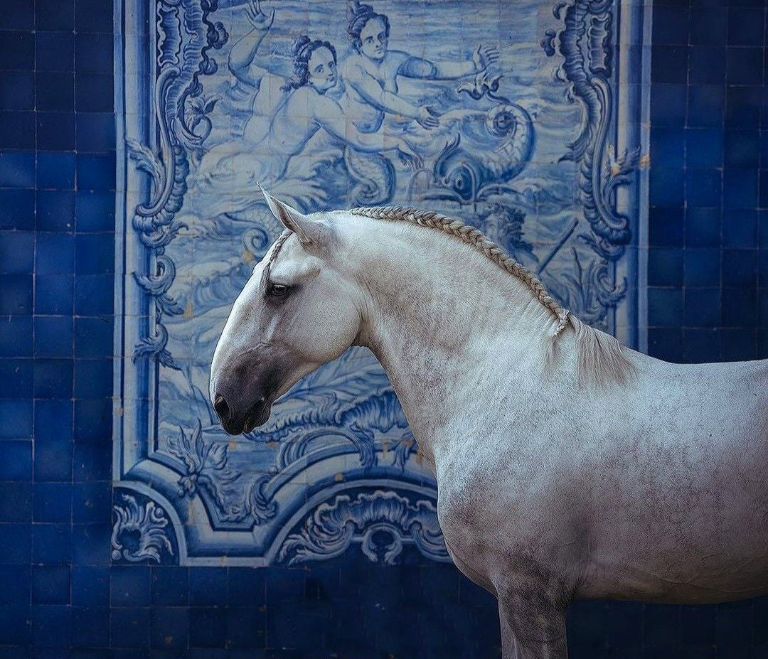 White horse standing in front of a blue tiled wall with intricate patterns