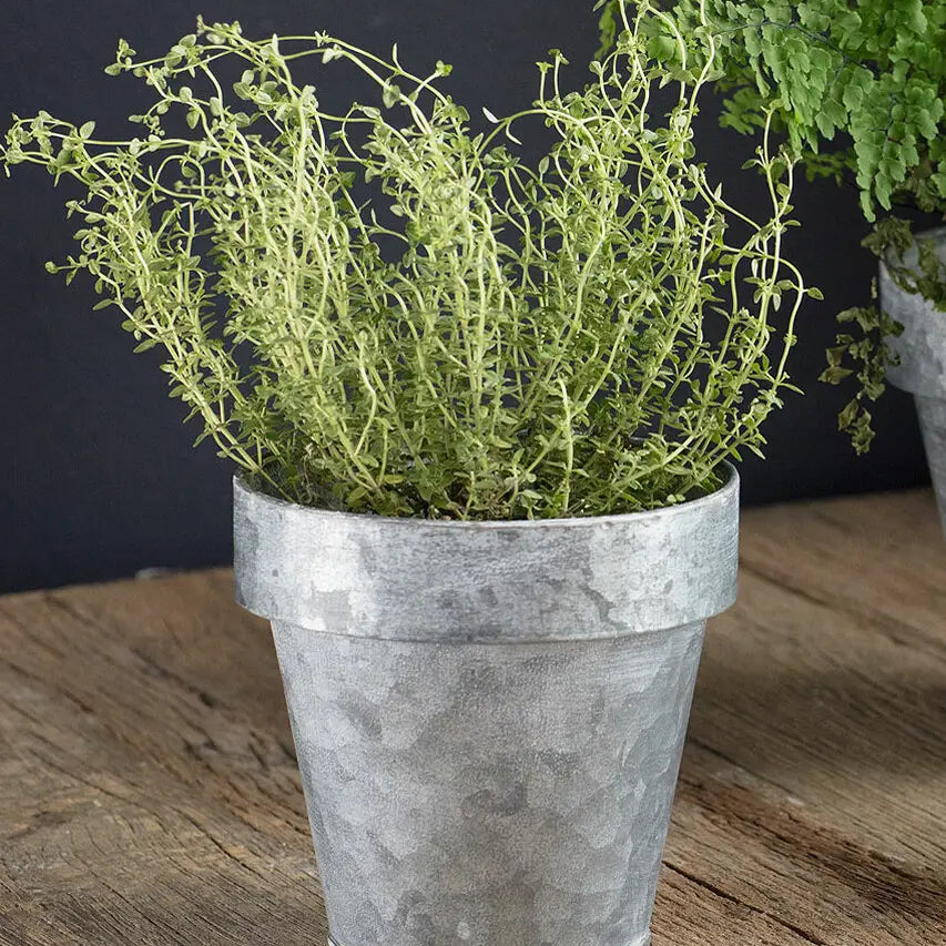 Zinc Flower Pot