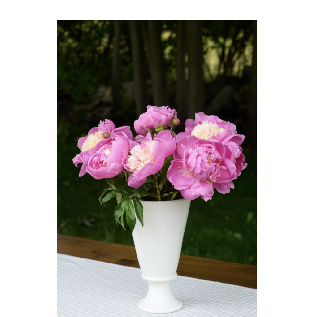 Chatham Ceramic Vase