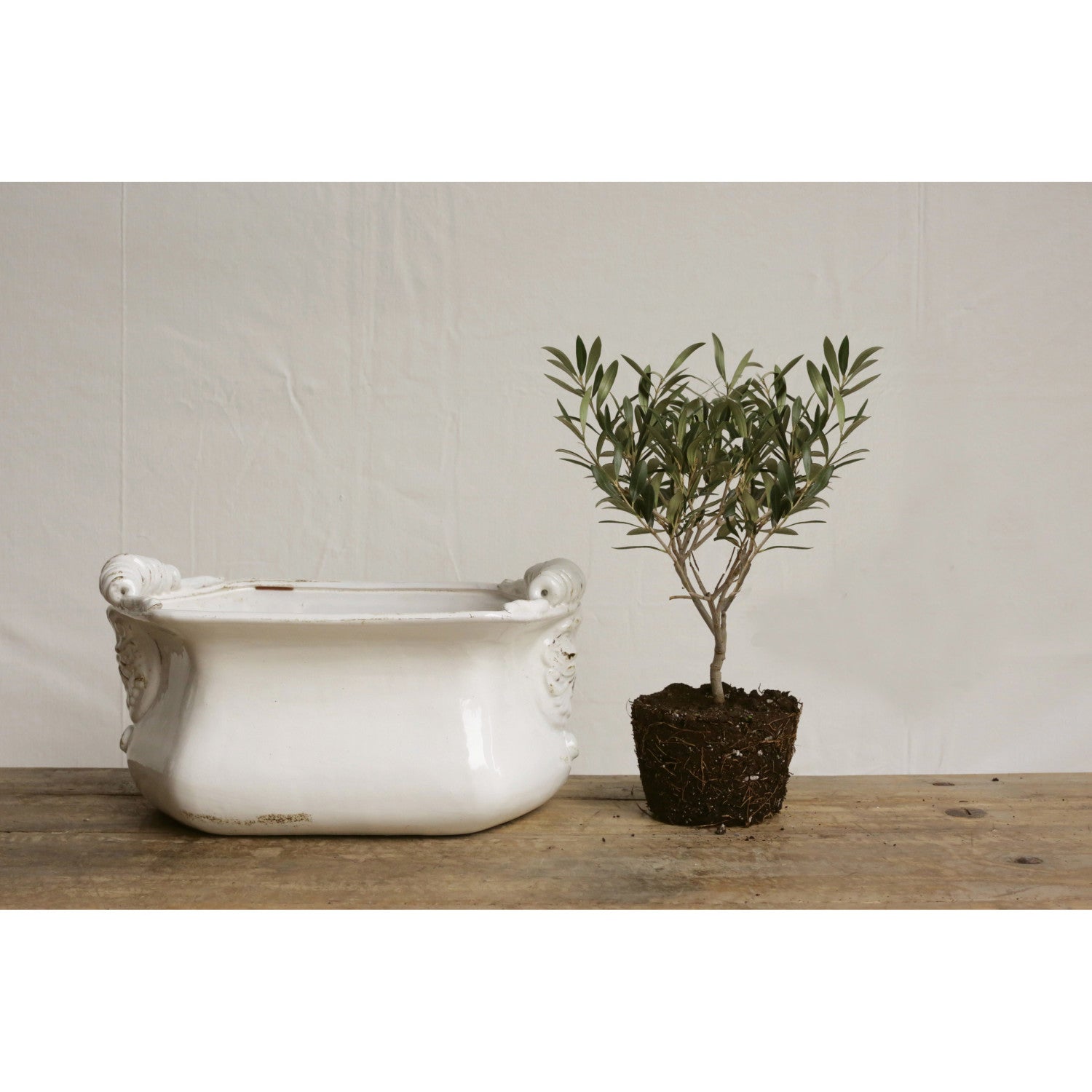 Terra-cotta Cachepot, Crackle Glaze, Distressed Finish, White (Each One Will Vary)