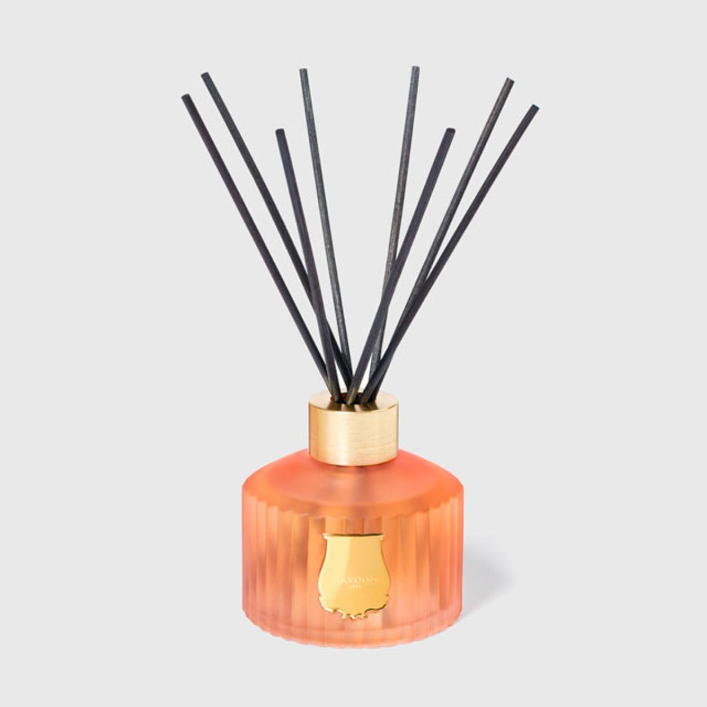The Diffuser Tuileries