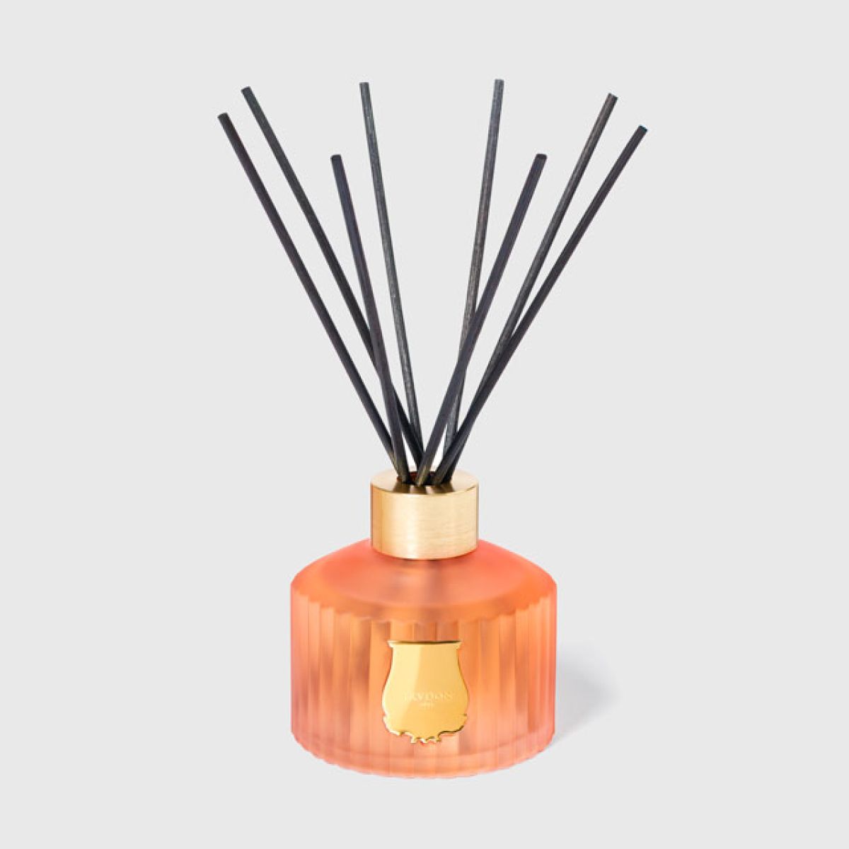 The Diffuser Tuileries