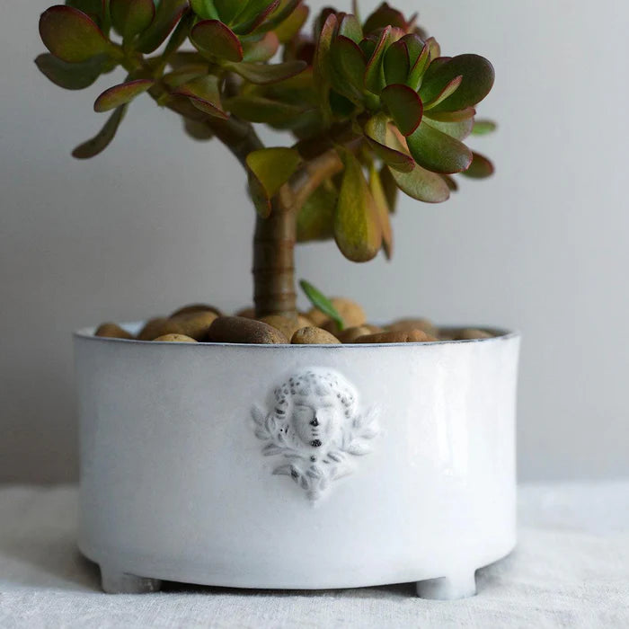 Mon Jules Planter