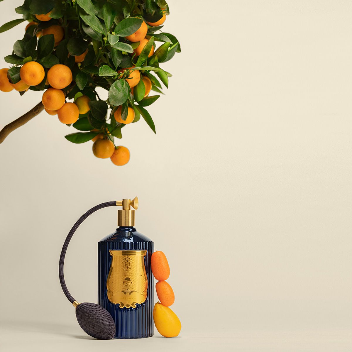 Reggio Room Spray